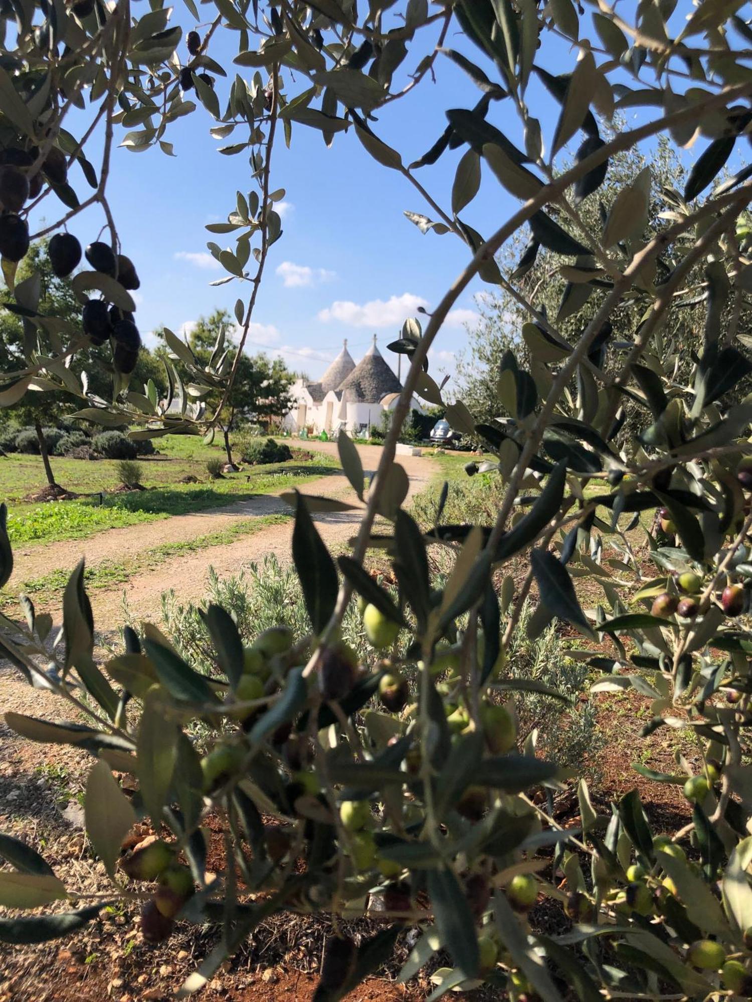فيلا Trullo Trilli Puglia مارتينا فرانكا المظهر الخارجي الصورة